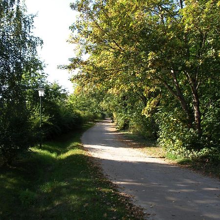Ferienhaus Am Klosterwald Dargun Exteriör bild