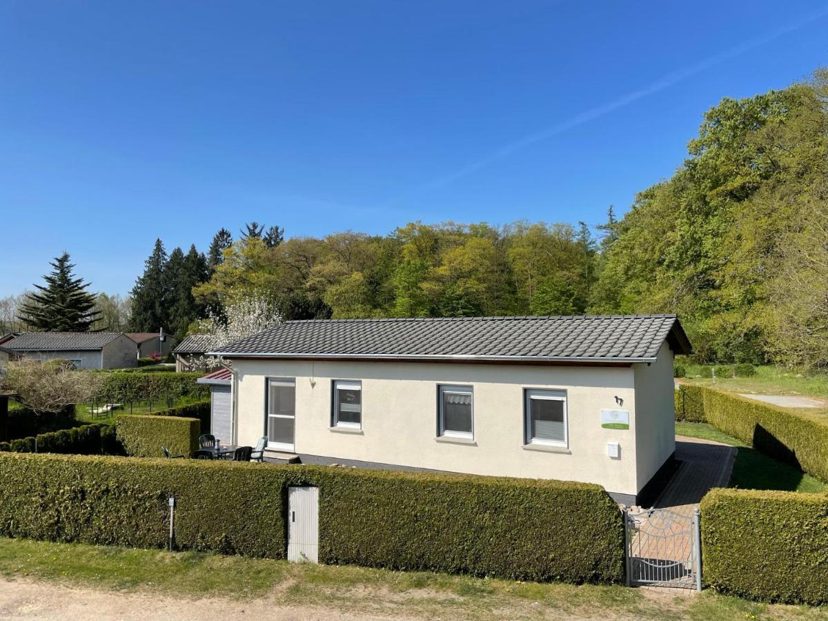 Ferienhaus Am Klosterwald Dargun Exteriör bild